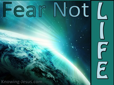 Fear Not Life - (Thoughts on FEAR - 1)